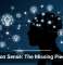 Common Sense: The Missing Piece in AI